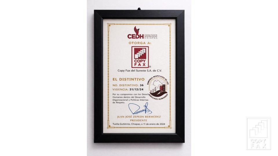 Distintivo de Empresa Respetuosa de los Derechos Humanos 2024 Copyfax del Sureste