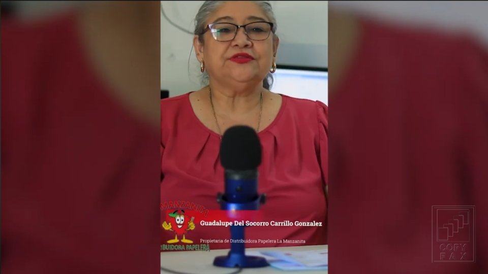 Distribuidora Papelera La Manzanita Copyfax del Sureste
